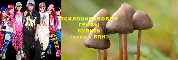а пвп мука Арсеньев