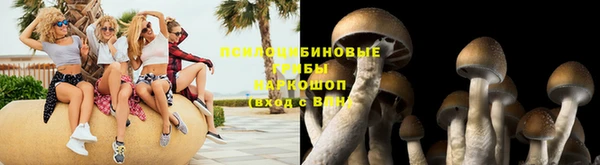 а пвп мука Арсеньев