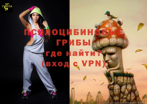 бошки Армянск