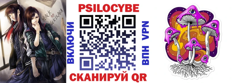 Псилоцибиновые грибы Psilocybine cubensis  omg ONION  Трубчевск 